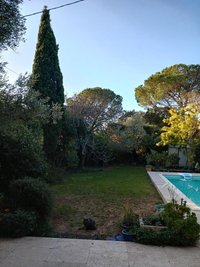 Charmant Studio: Quiet Oasis with Pool in Villeneuve-lès-Avignon Exterior photo